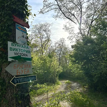 Kamp alanı мишел